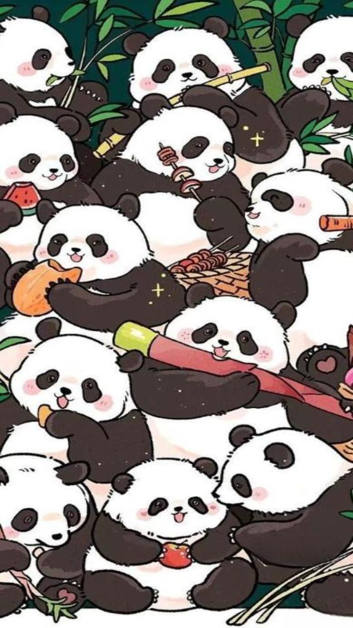 Ảnh gấu trúc hình nền đt đáng yêu
