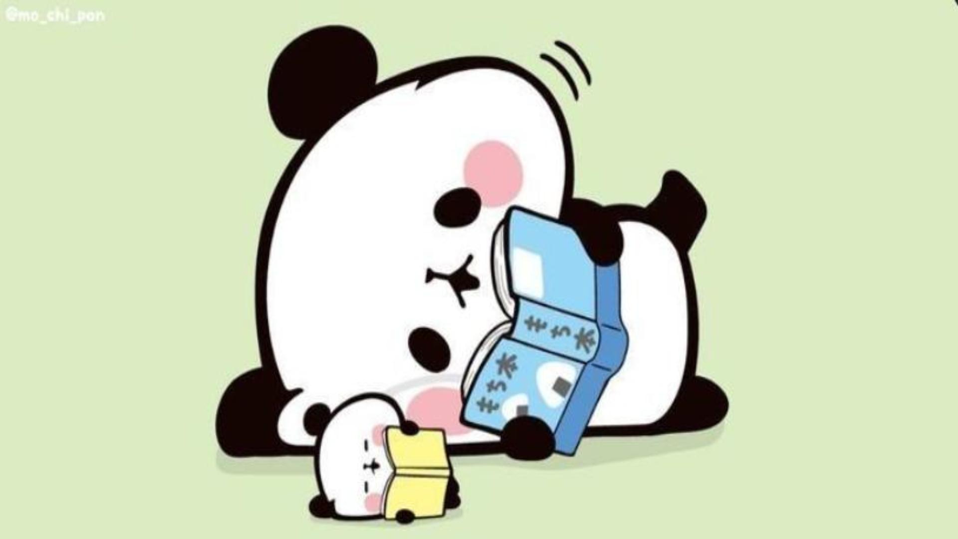 ảnh gấu trúc panda làm hình nền máy tính