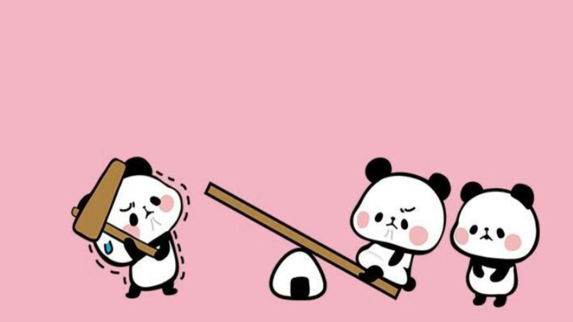 ảnh gấu trúc panda làm hình nền máy tính