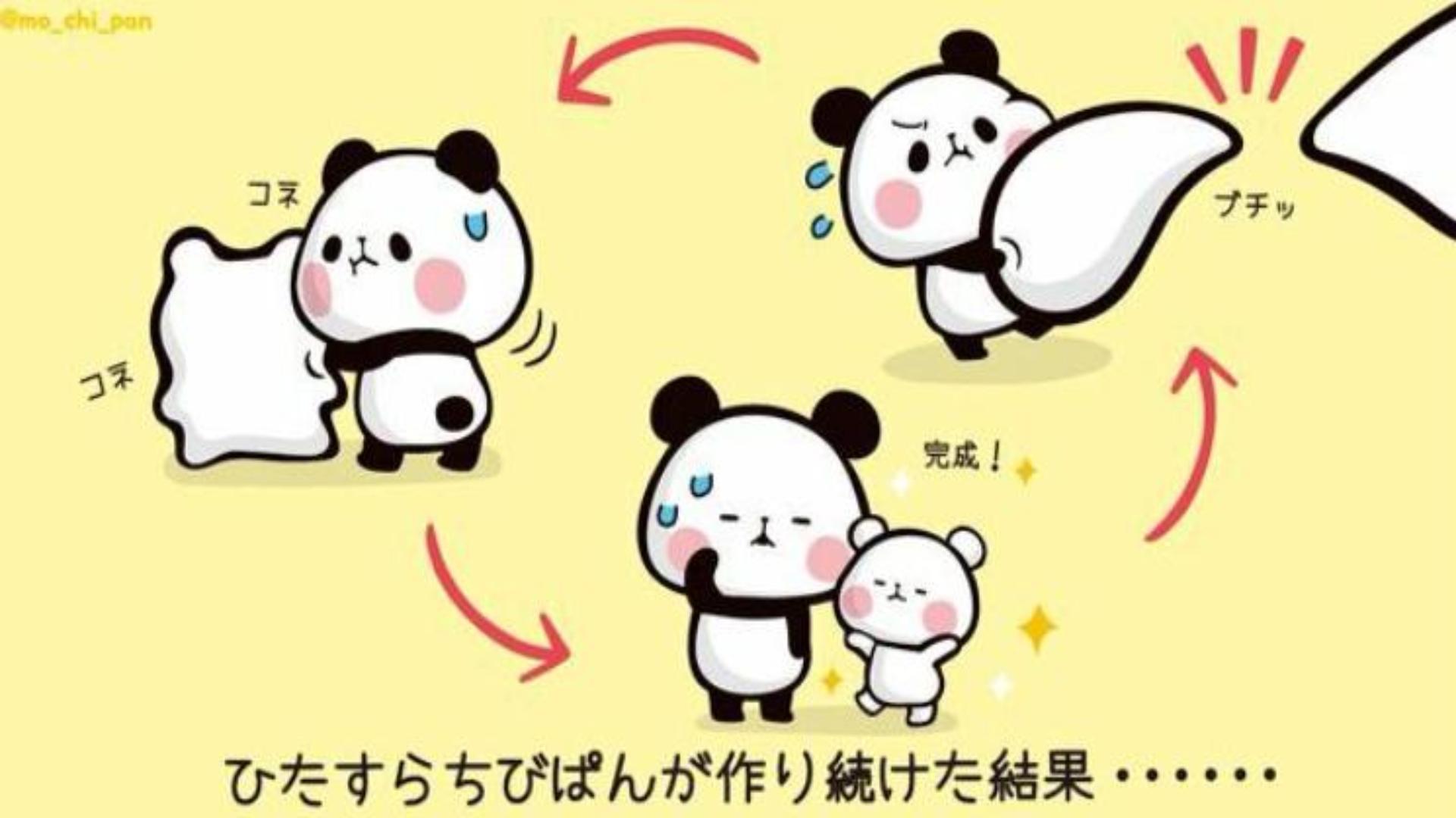 ảnh gấu trúc panda làm hình nền máy tính