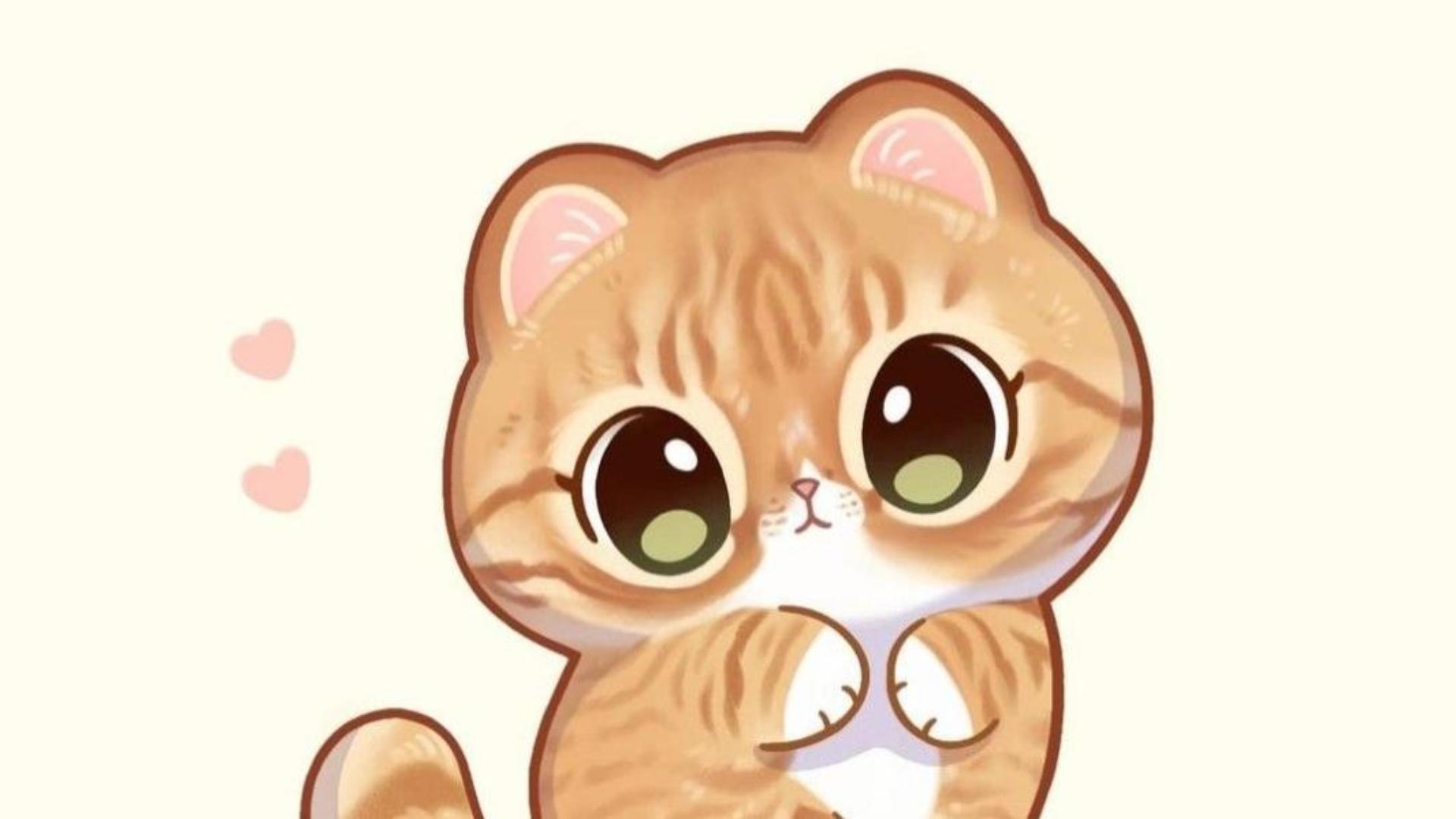 Hình nền mèo béo cute cho máy tính 