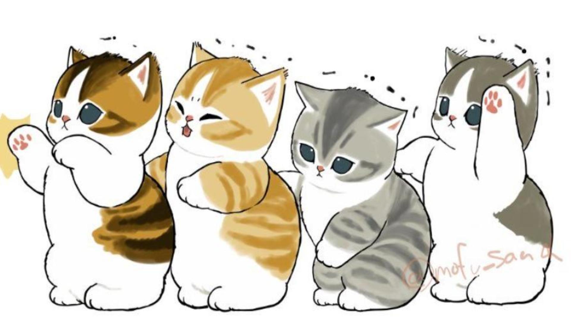 Hình nền mèo béo cute cho máy tính 