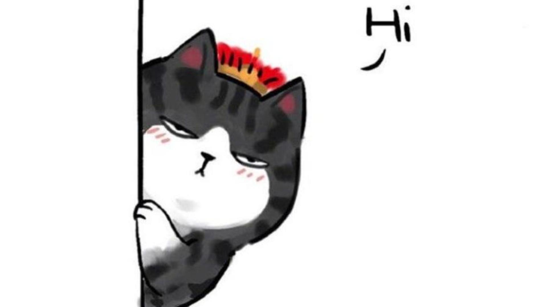 Hình nền mèo ngầu cute cho máy tính 