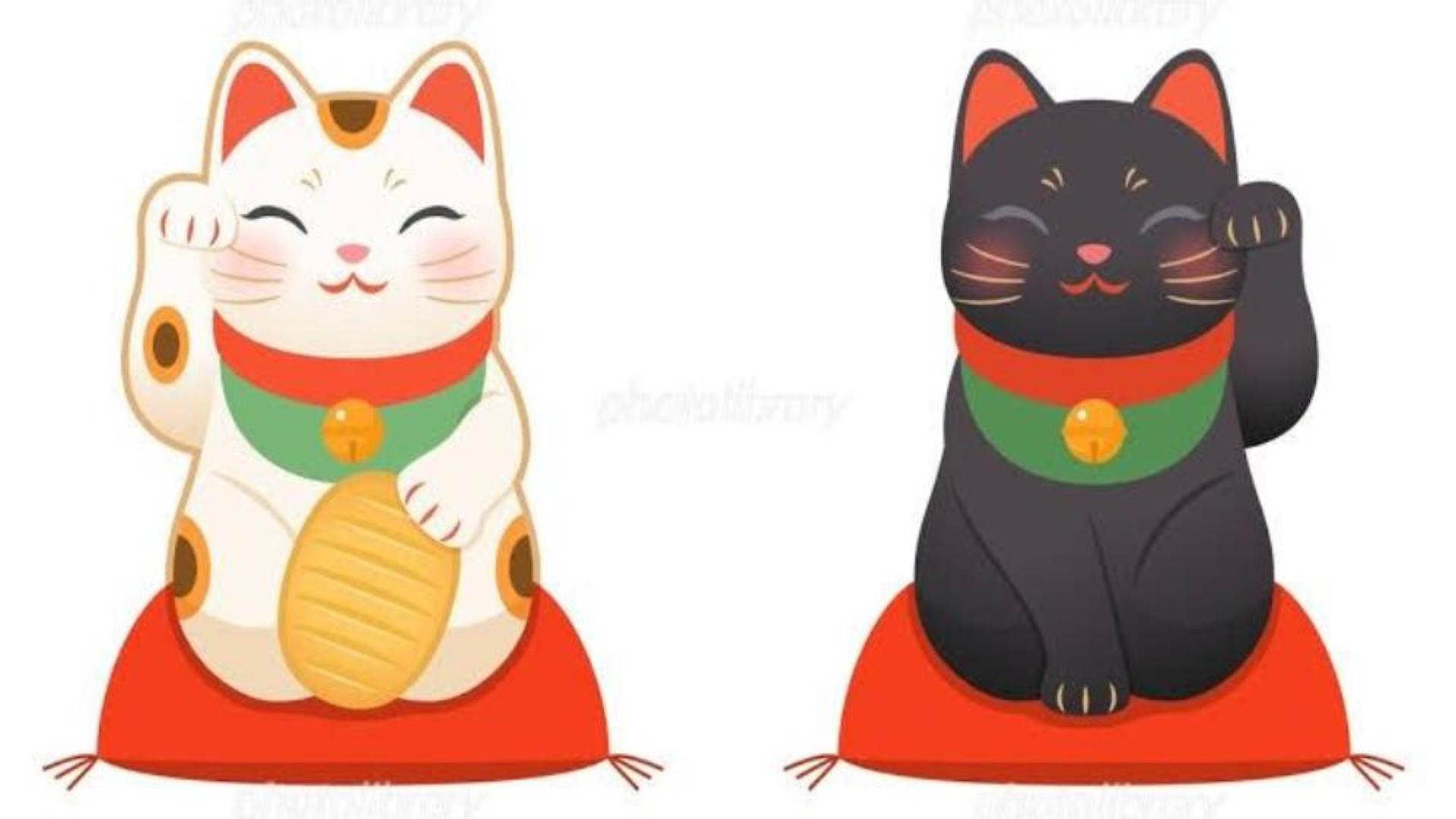 Hình nền mèo thần tài cho máy tính miễn phí 