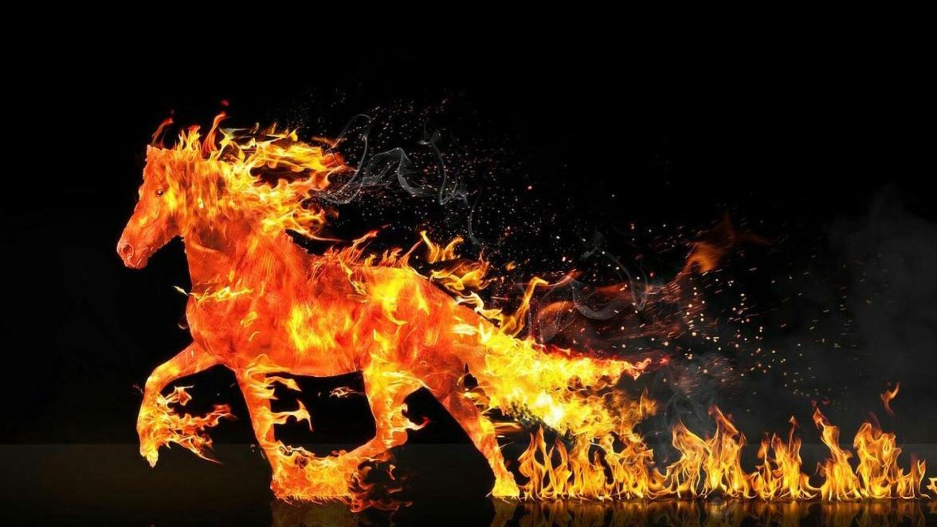 Tải ngay hình nền MT ngựa lửa 