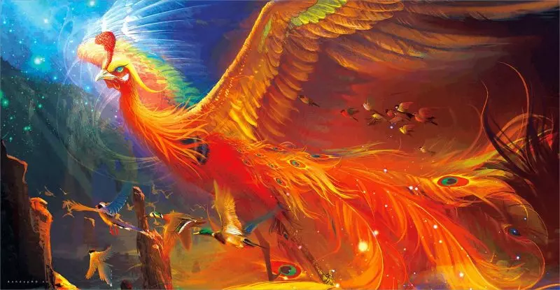 Hình nền phượng hoàng 4K và Full HD