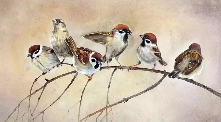 Hình ảnh vẽ con chim sẻ nghệ thuật