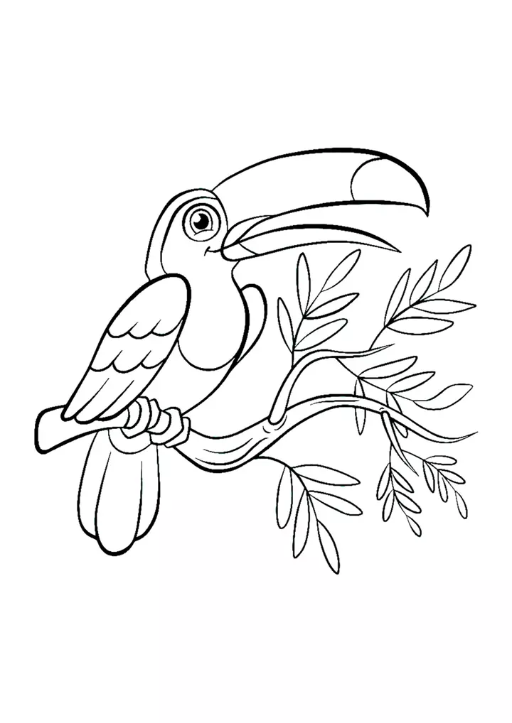 Hình vẽ con vẹt đơn giản (line art)