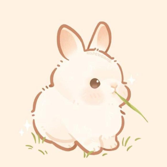 Hình vẽ thỏ chibi