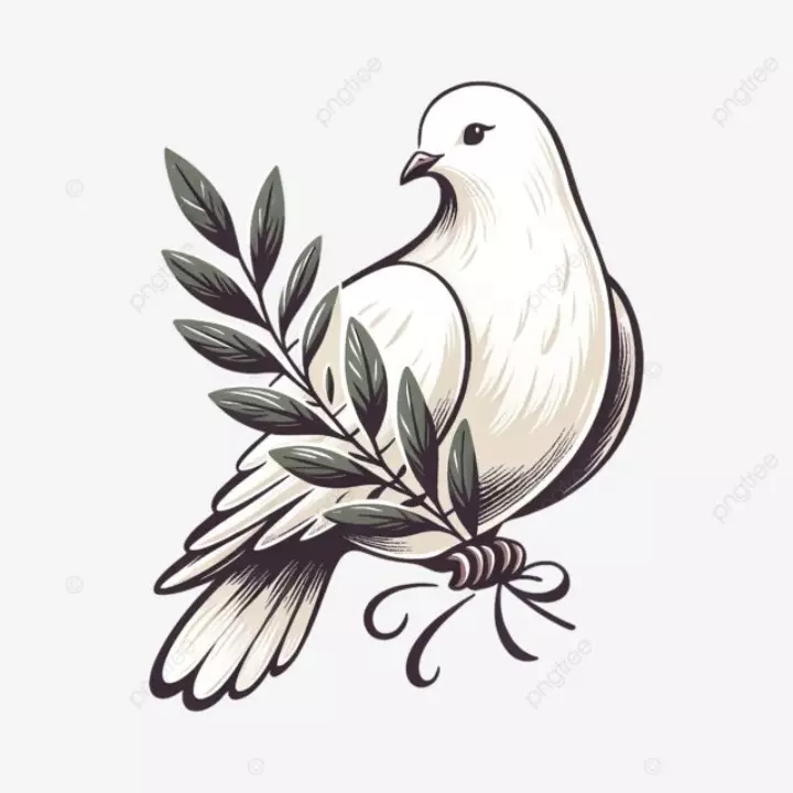 Vì sao nên cho bé tô màu tranh chim bồ câu?