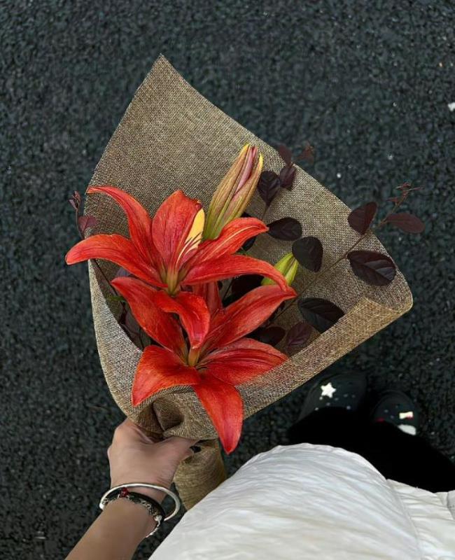 Kho Ảnh Cầm Hoa Đẹp