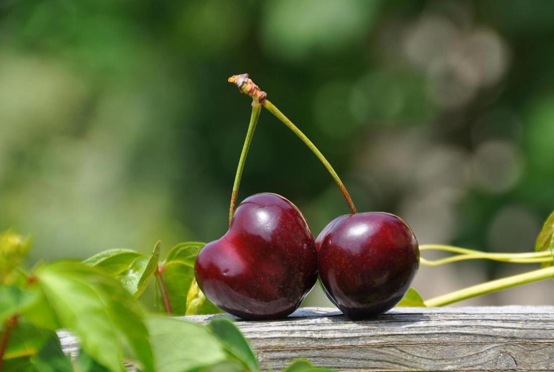 Ảnh Cherry
