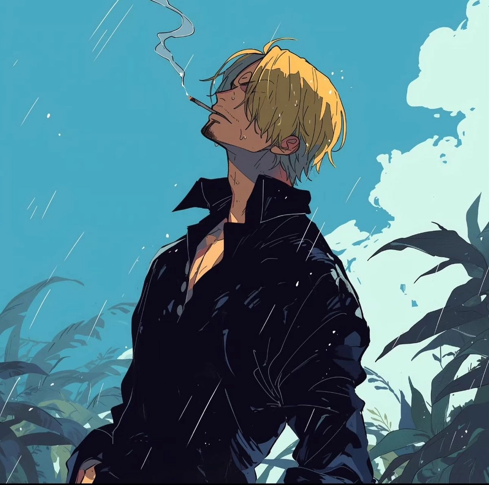 Hình Ảnh Sanji buồn đời