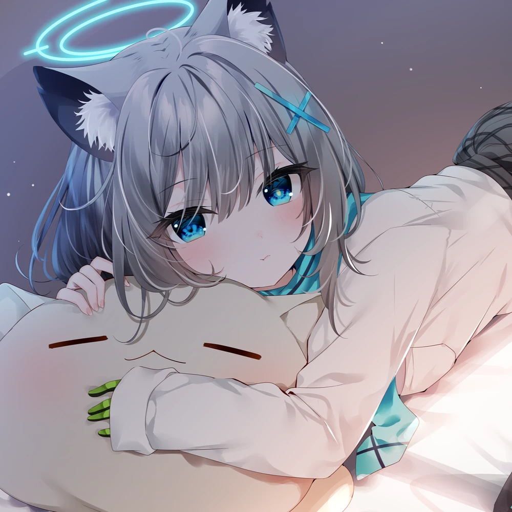 Shiroko Sunaookami là gì?
