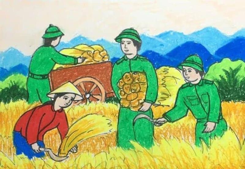 Hình ảnh vẽ bộ đội thu hoạch lúa giúp dân của học sinh