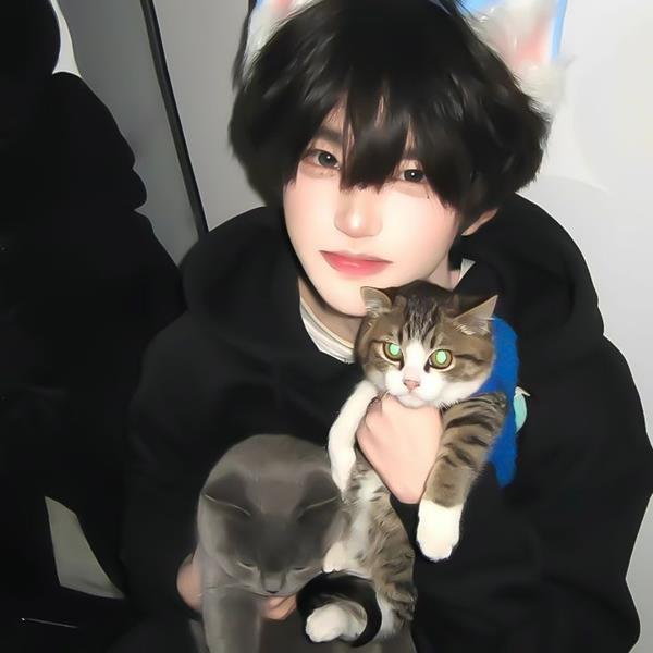 Avatar nam cute cùng mèo con