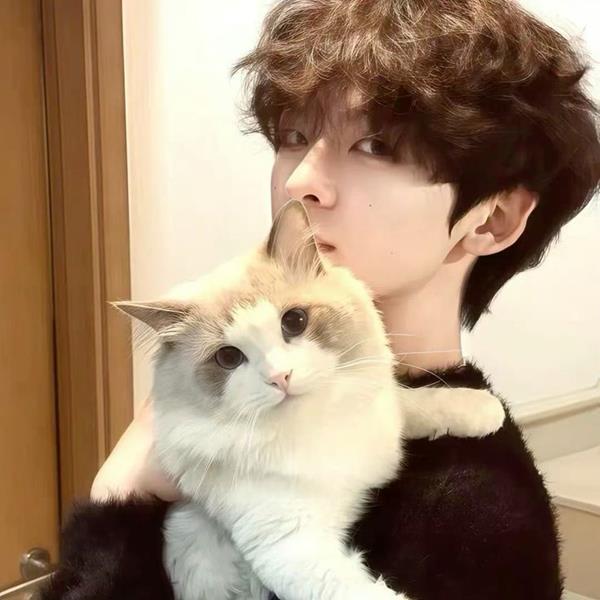 Top +108 Hình Ảnh Đại Diện Avatar Tiktok Nam Điêu Cute, Đẹp & Chất