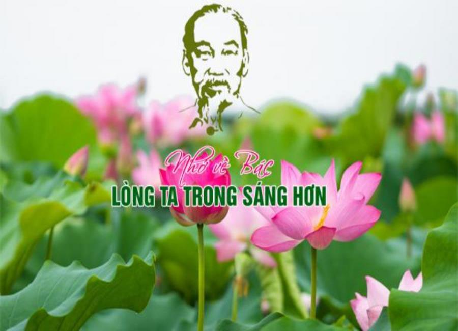 Bộ sưu tập ảnh Bác Hồ và hoa sen