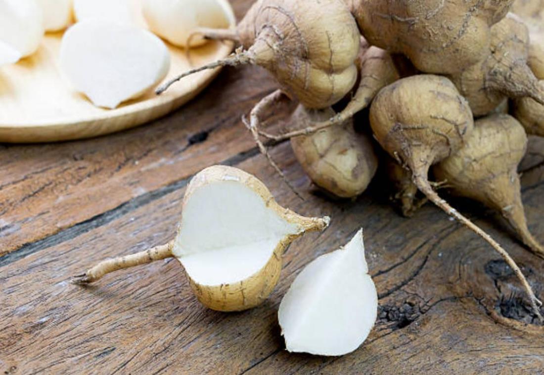 Bộ sưu tập hình ảnh củ đậu