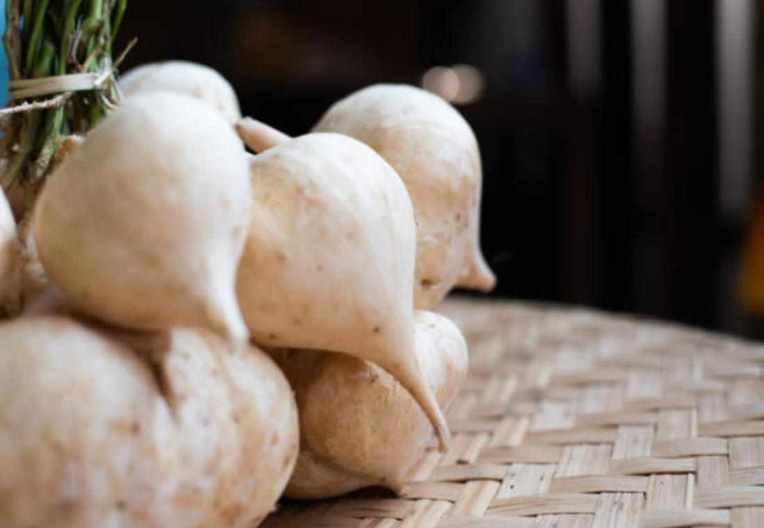 Bộ sưu tập hình ảnh củ đậu