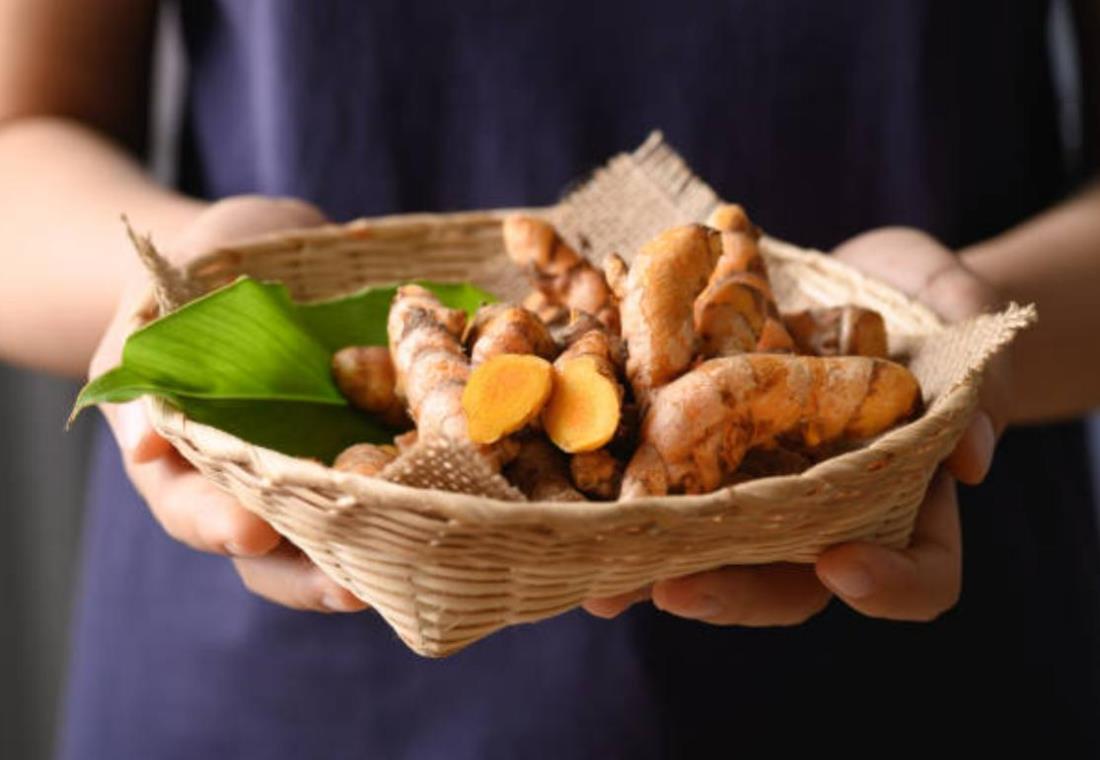 Bộ sưu tập hình ảnh cây nghệ và củ nghệ