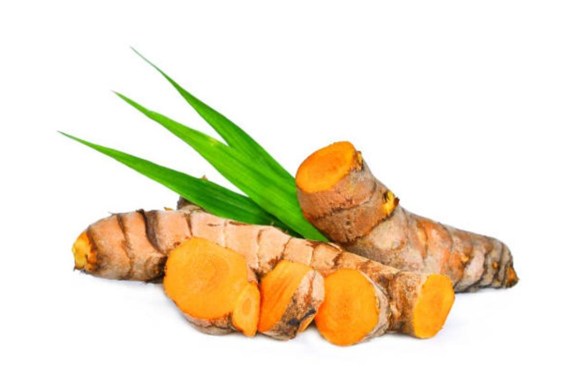 Bộ sưu tập hình ảnh cây nghệ và củ nghệ