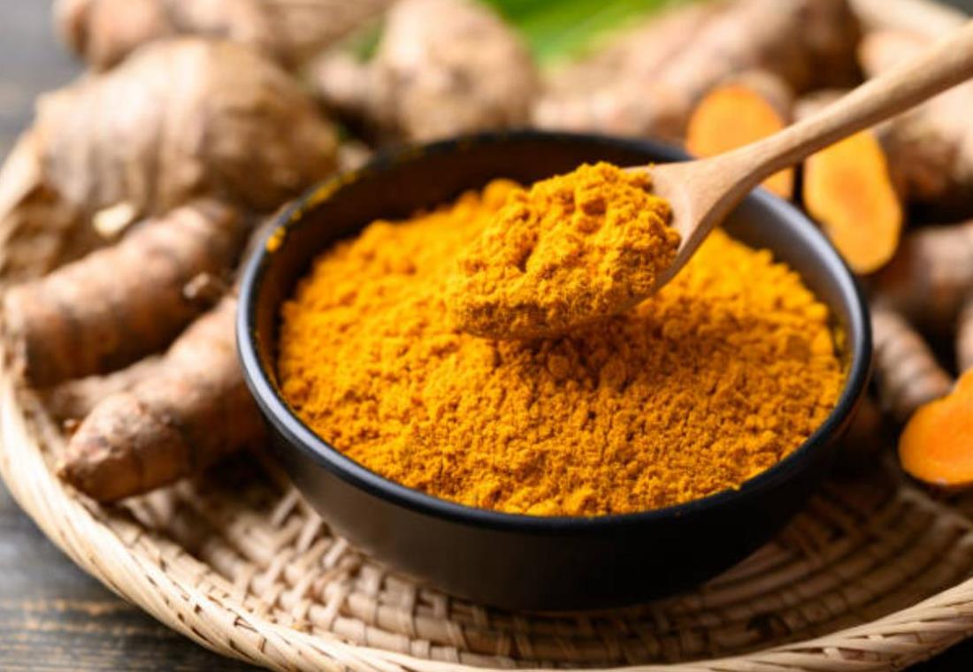Bộ sưu tập hình ảnh cây nghệ và củ nghệ