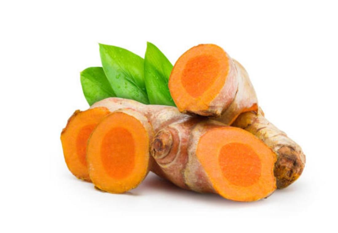Bộ sưu tập hình ảnh cây nghệ và củ nghệ