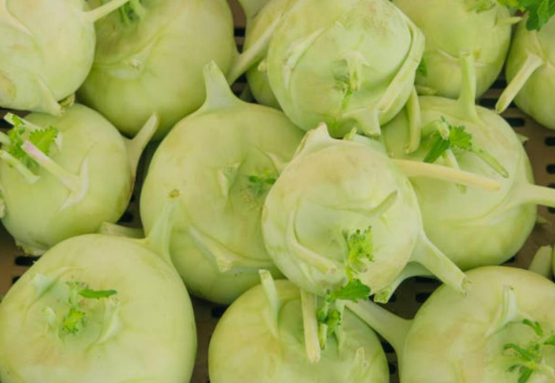 Bộ sưu tập hình ảnh củ su hào