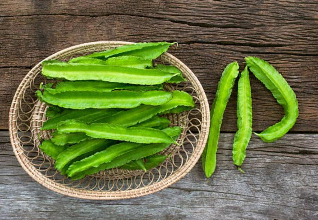 Hình ảnh quả đậu rồng