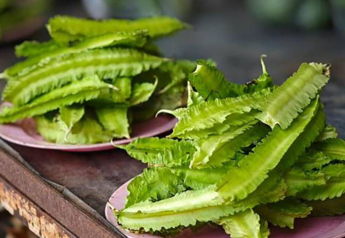 Hình ảnh quả đậu rồng