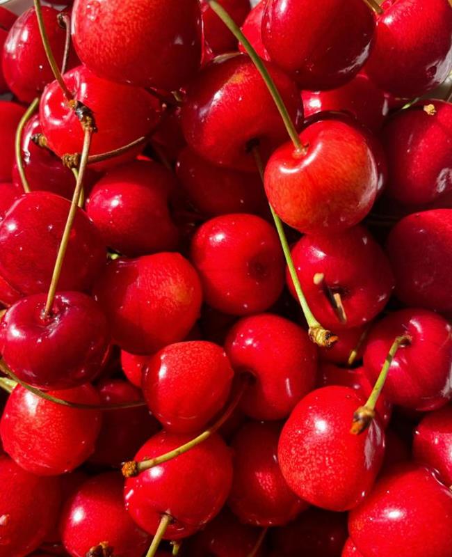 Hình Ảnh Quả Cherry