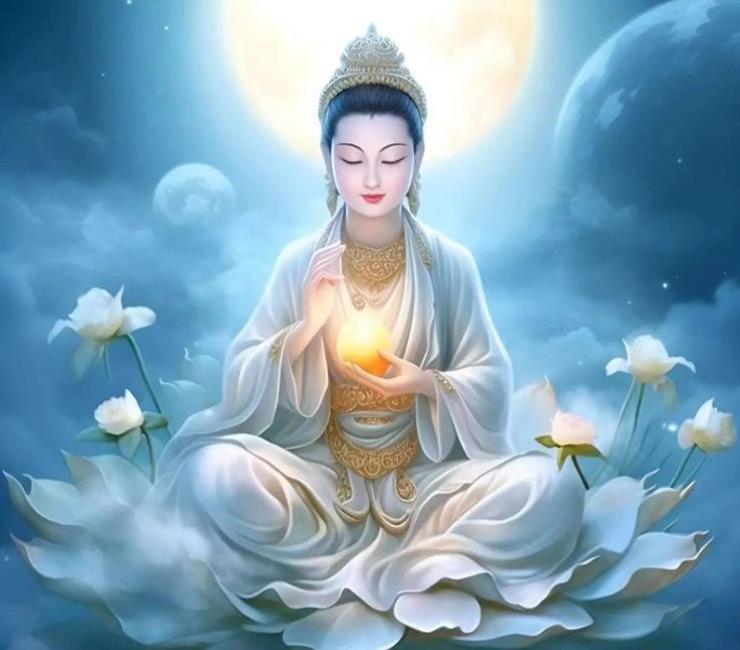 hoa sen phật giáoHình nền hoa sen Phật giáo cho máy tính