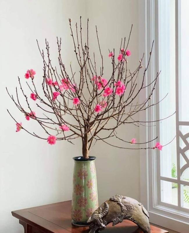 Hình Nền Ảnh Hoa Đào Đẹp