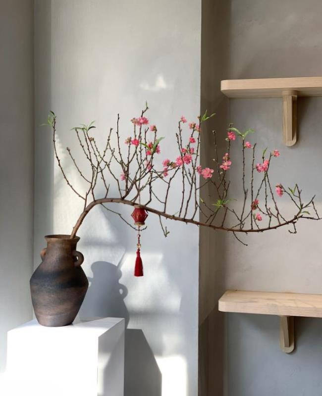 Hình Nền Ảnh Hoa Đào Đẹp