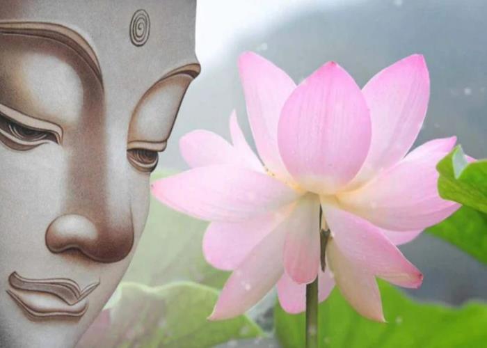 Hình nền hoa sen Phật Giáo