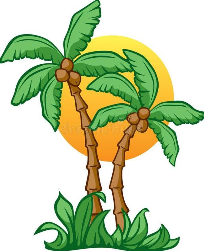 Hình Vẽ Cây Dừa Đơn Giản