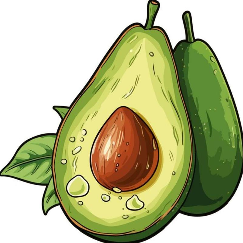 Hình Vẽ Quả Bơ