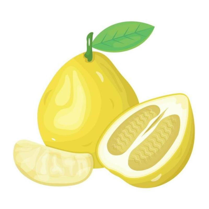 Hình Vẽ Quả Bưởi