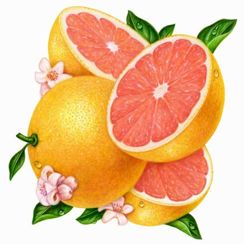Hình Vẽ Quả Bưởi
