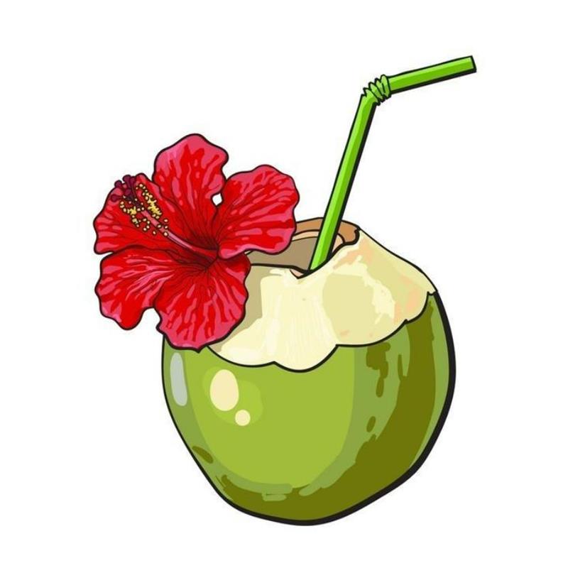 Hình Vẽ Quả Dừa