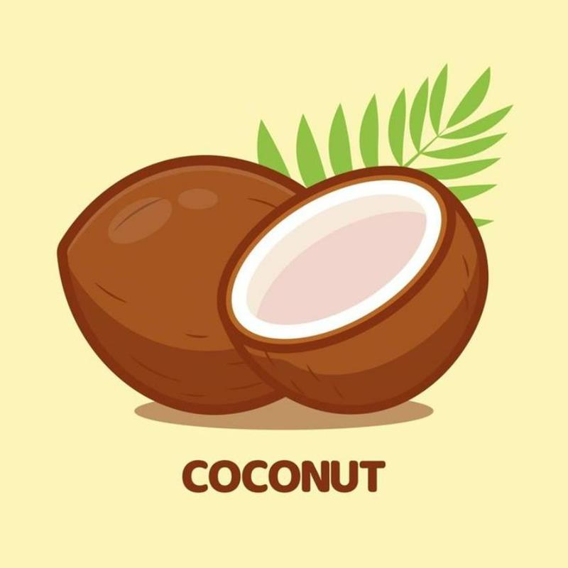 Hình Vẽ Quả Dừa