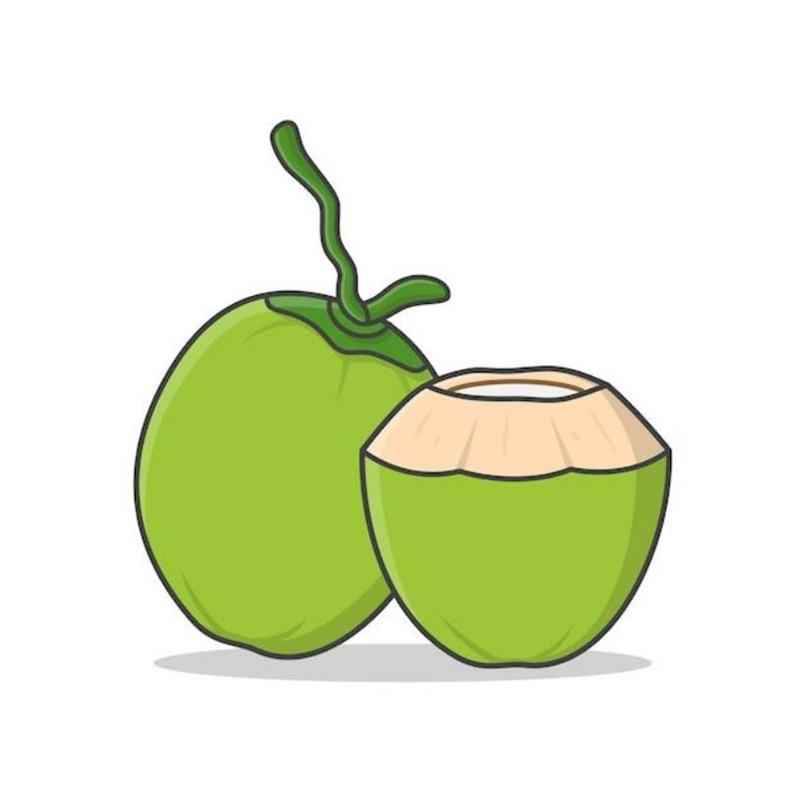 Hình Vẽ Quả Dừa