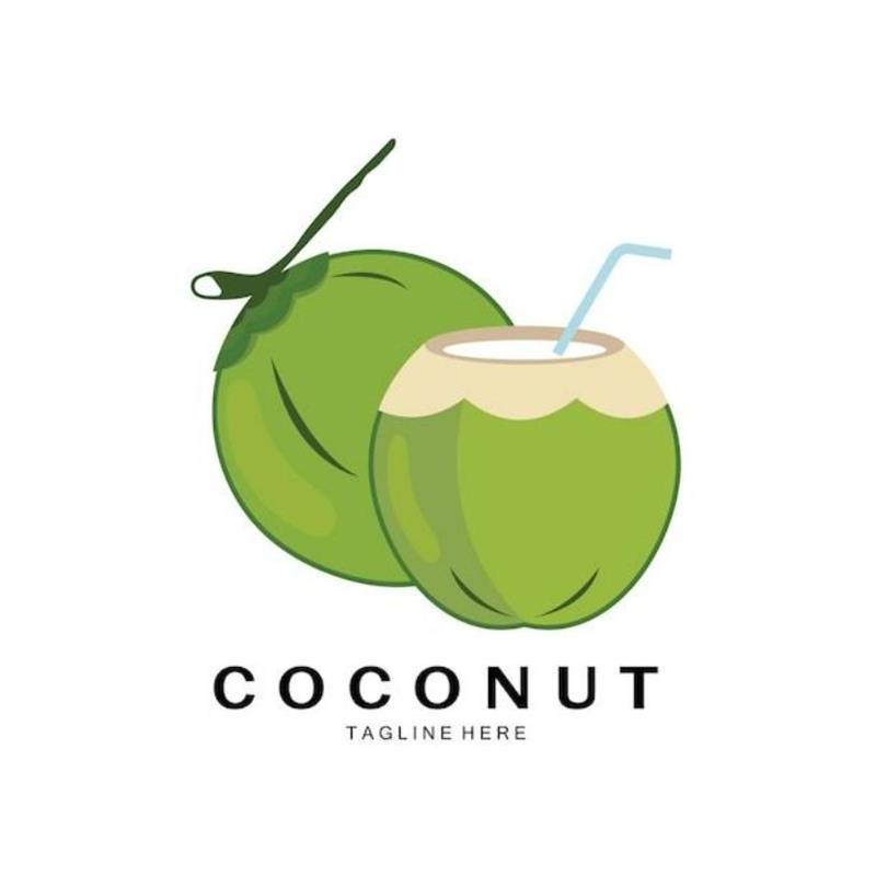 Hình Vẽ Quả Dừa