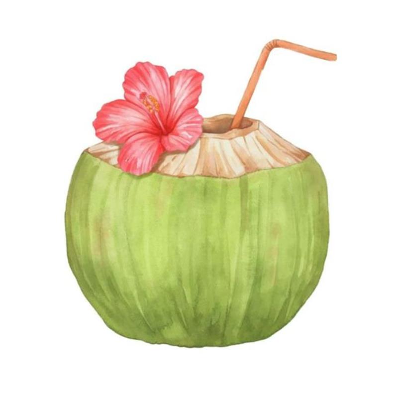 Hình Vẽ Quả Dừa