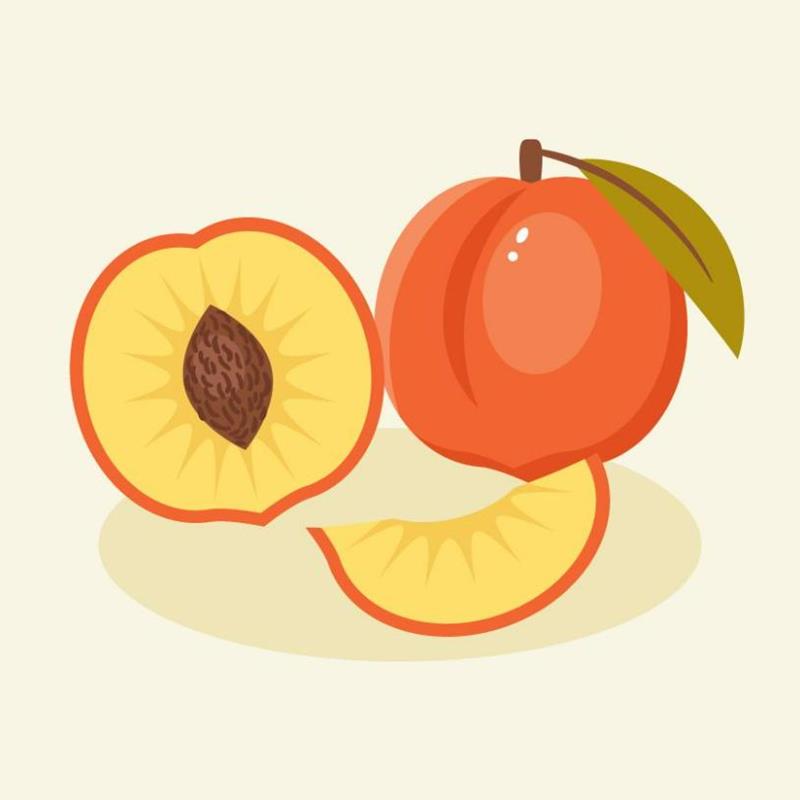 Hình Vẽ Trái Cây Đơn Giản