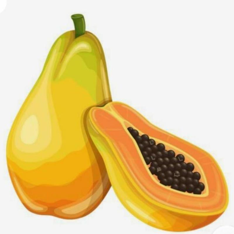 Hình Vẽ Trái Cây Đơn Giản