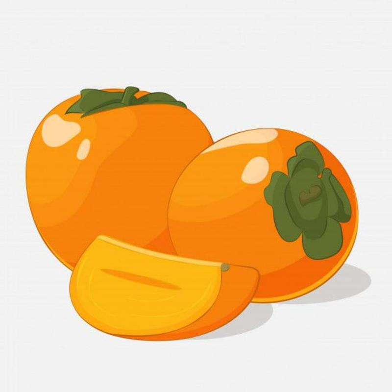 Hình Vẽ Trái Cây Đơn Giản