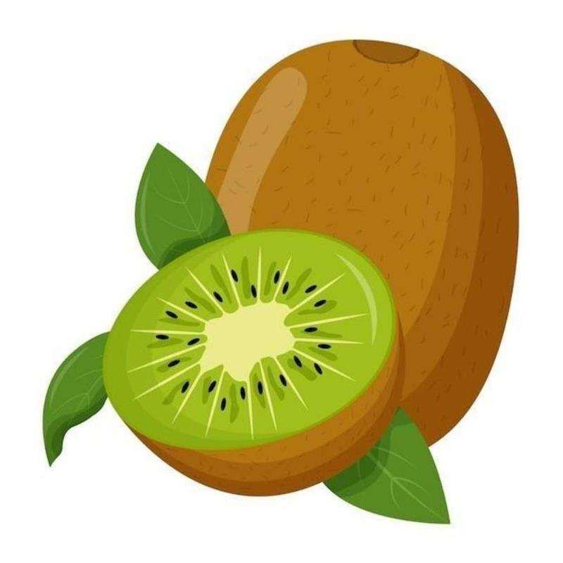 Hình Vẽ Trái Cây Đơn Giản