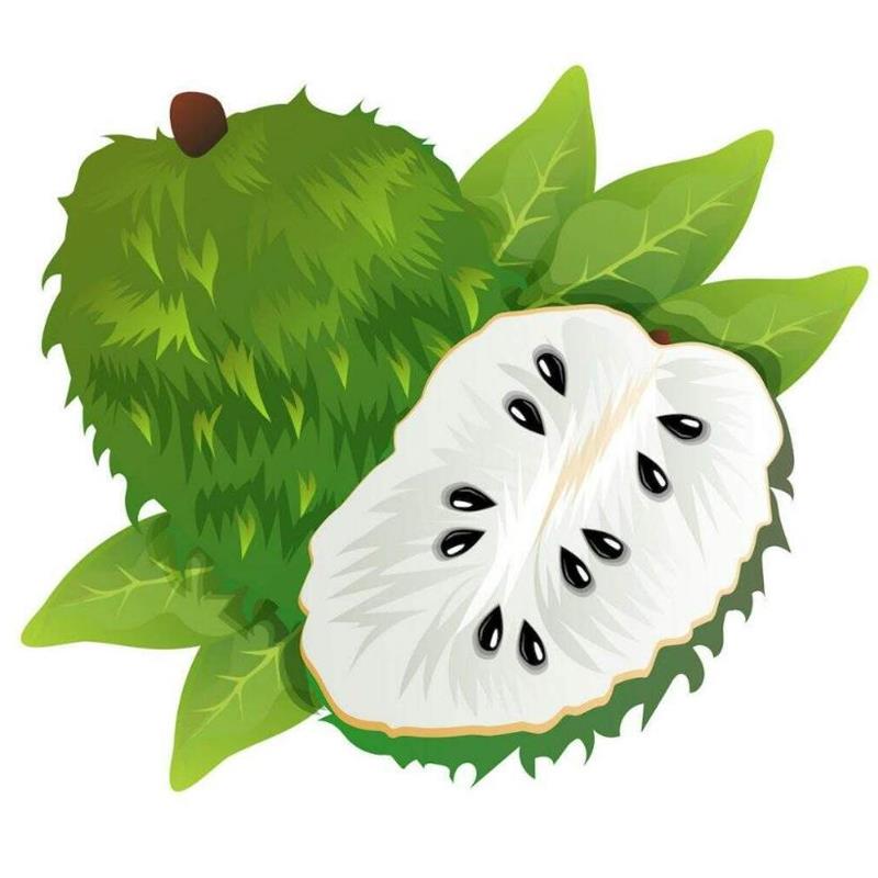 Hình Vẽ Trái Cây Đơn Giản